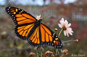 the flight of&nbsp;purpose