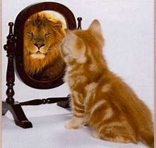 The man in the&nbsp;mirror