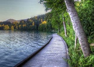 A beautiful night for a&nbsp;walk